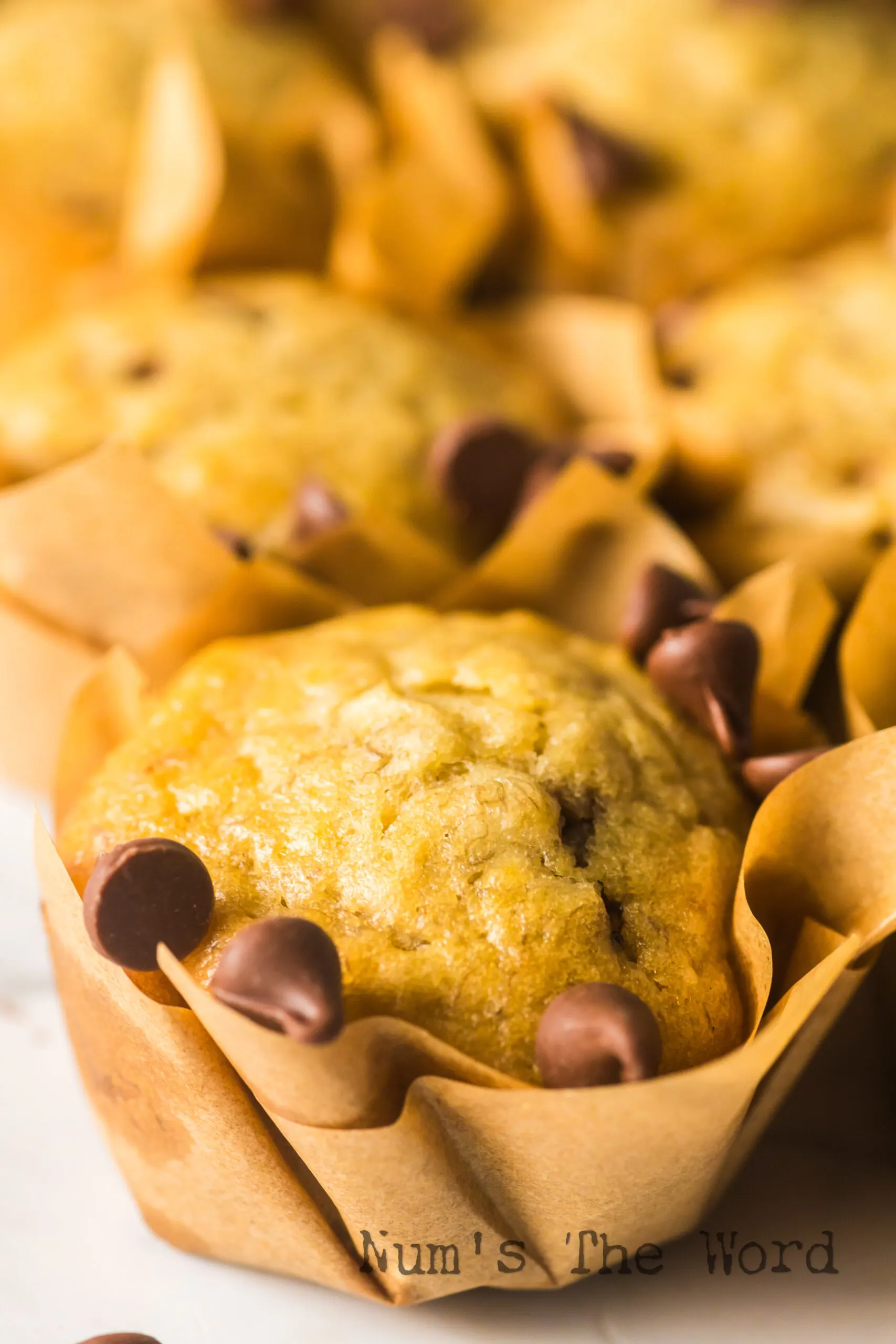 zoomed in image of muffins on counter with one in the front.