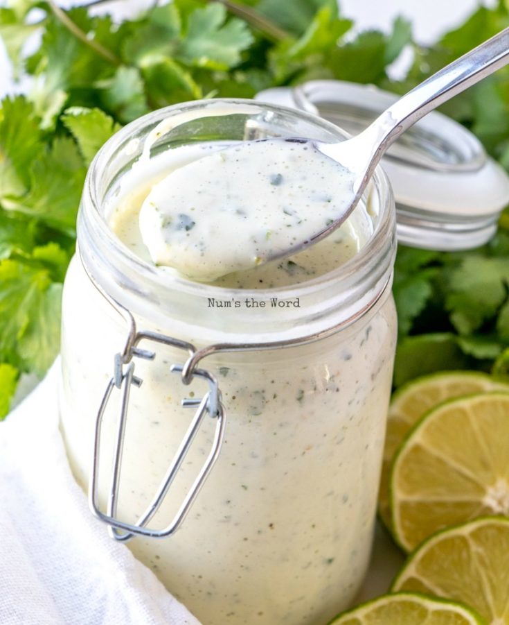 Cilantro Lime Dressing Cafe Rio Copycat Recipe Num's the Word