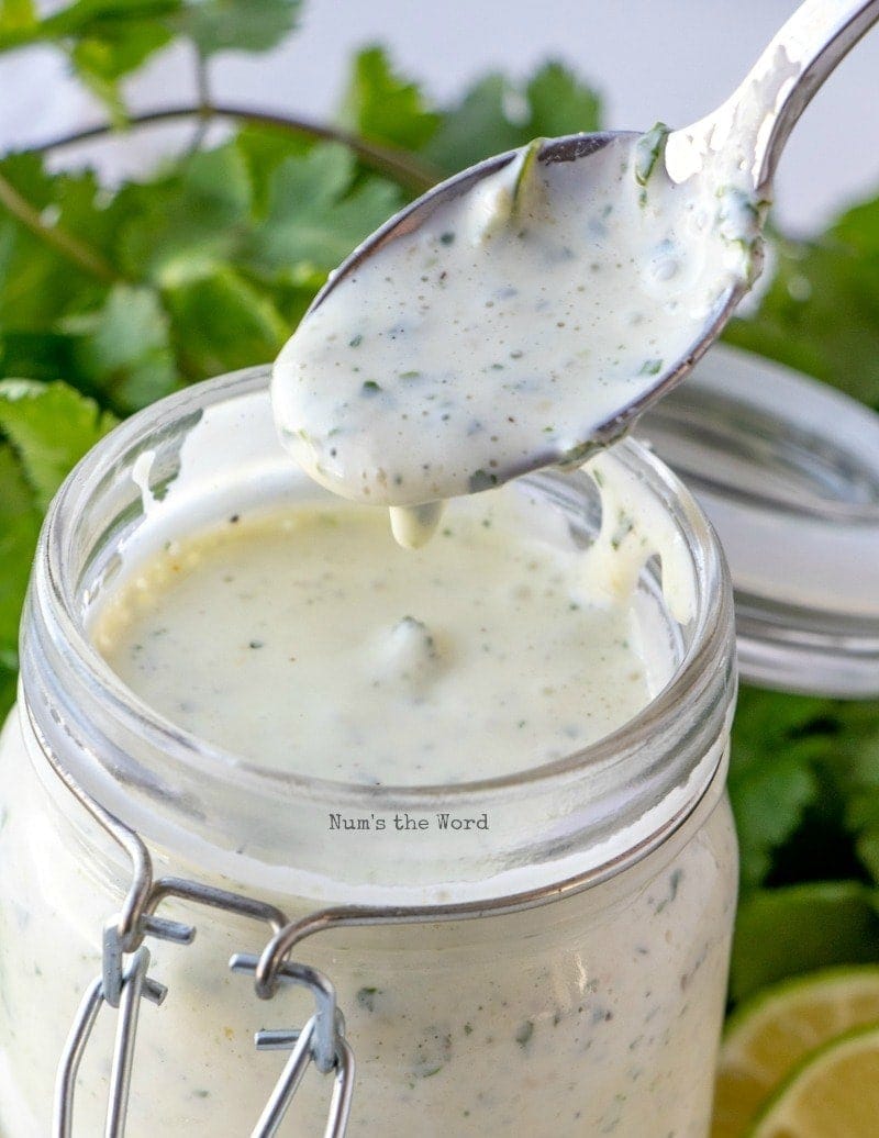 Cilantro Lime Dressing - spoon lifting out of jar of dressing with a drip falling off spoon