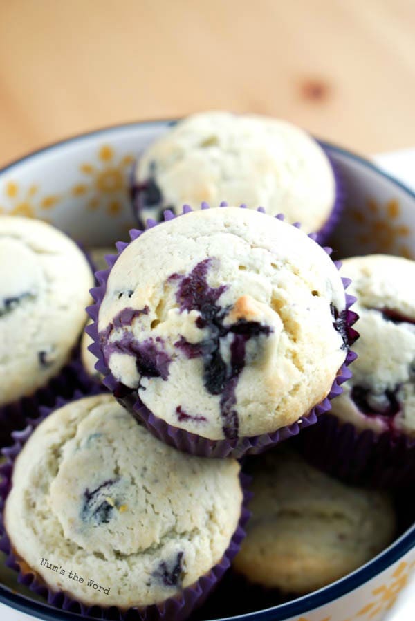 Blueberry Muffins Num's the Word