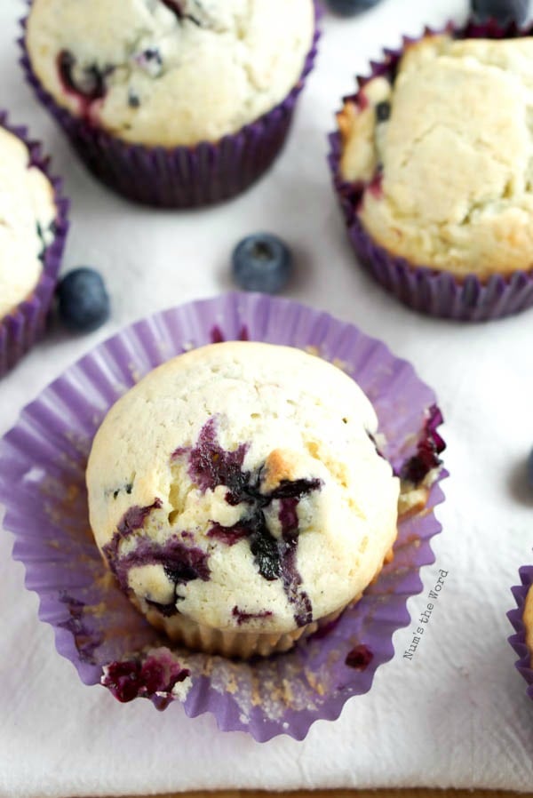 Blueberry Muffins - Num's the Word