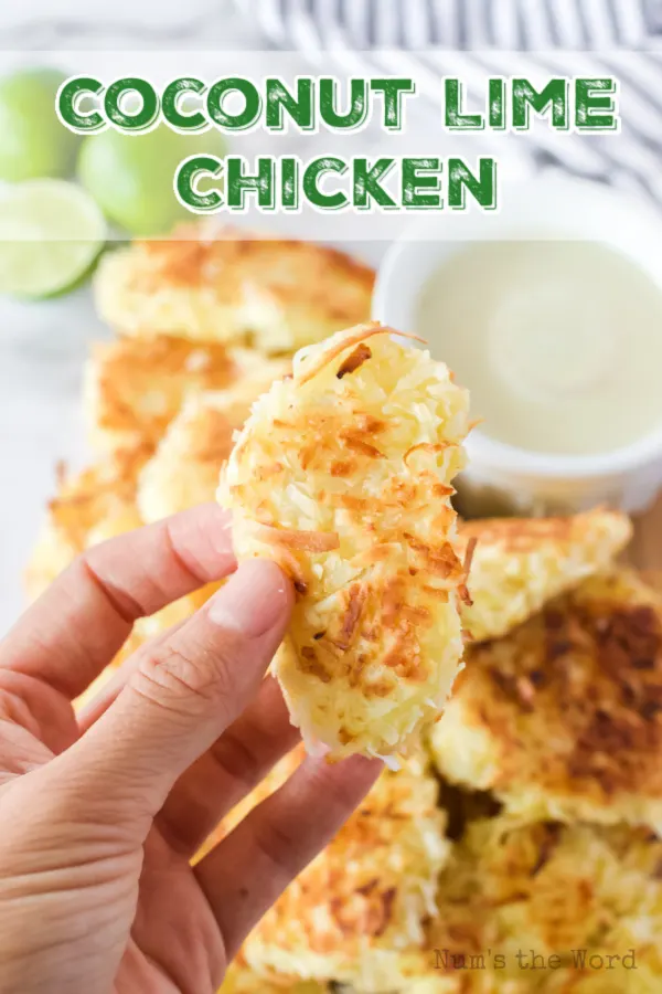 main image for coconut lime chicken