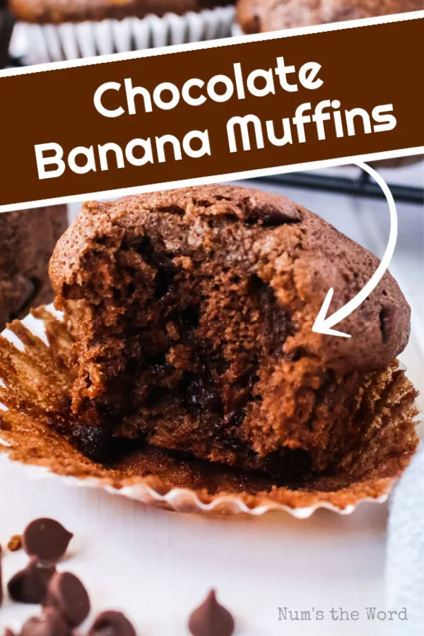 main image for chocolate banana muffins.