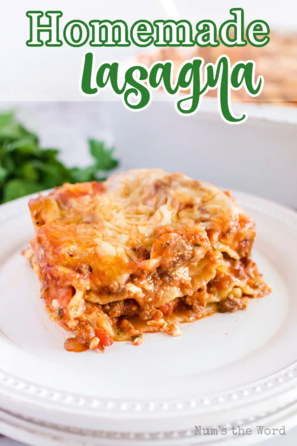 https://numstheword.com/wp-content/uploads/2016/05/homemade-lasagna.jpg.webp