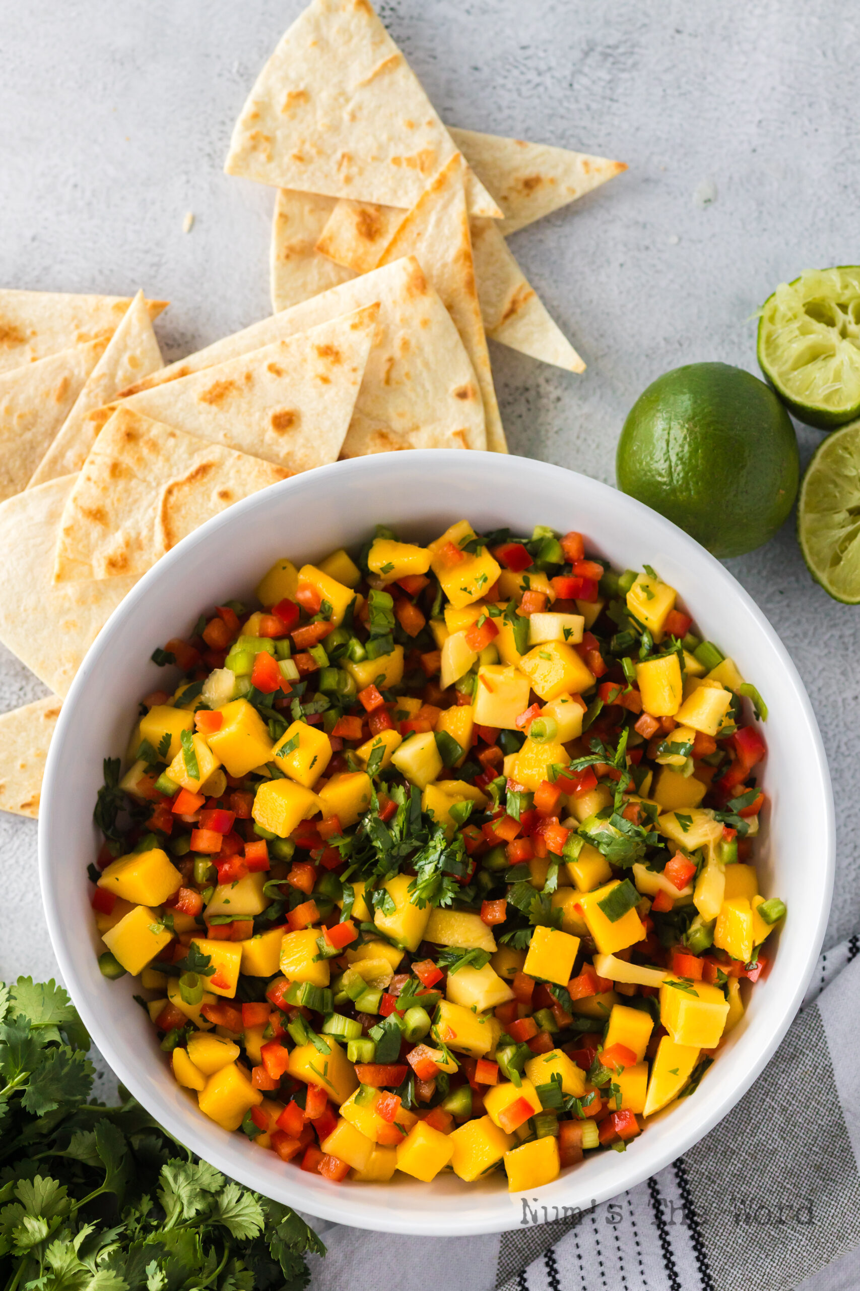 Serving dish of diced mango salsa with chips along the side