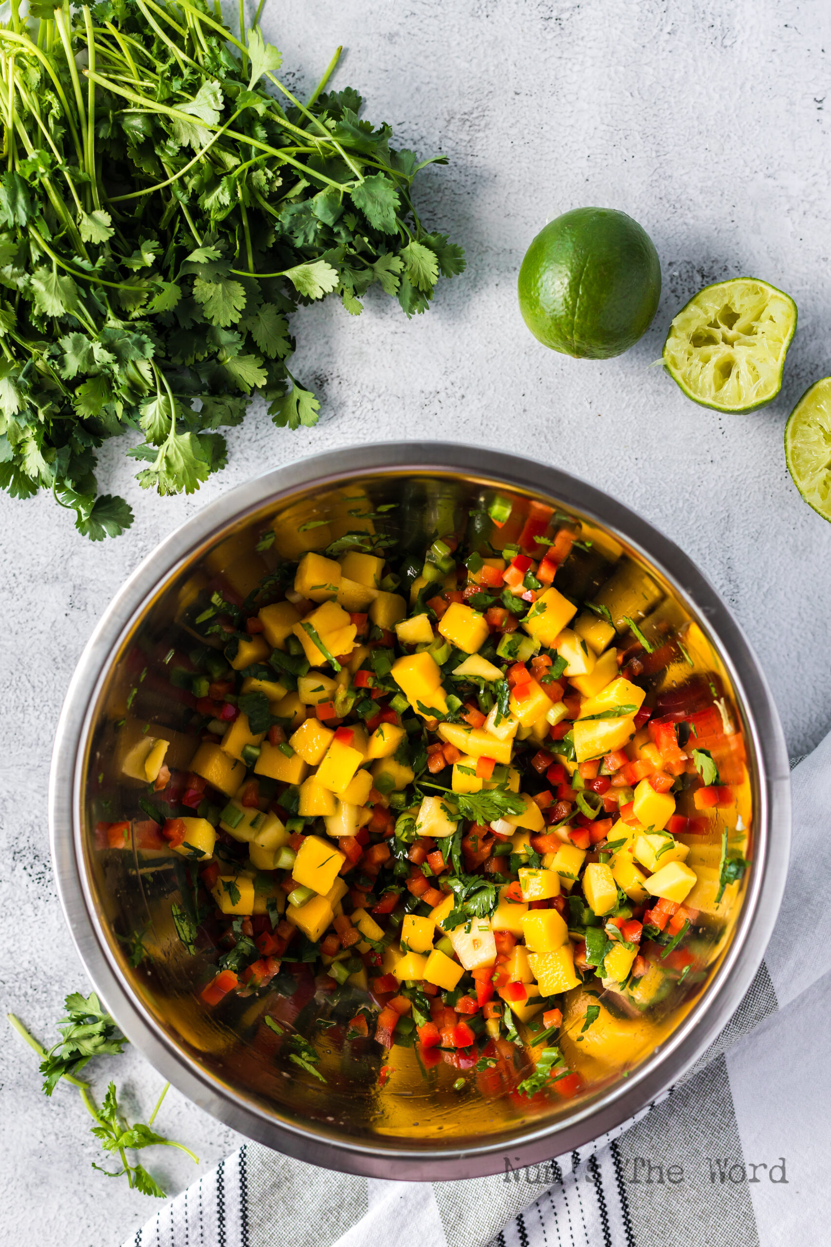 Mango Salsa mixed in bowl and ready to chill