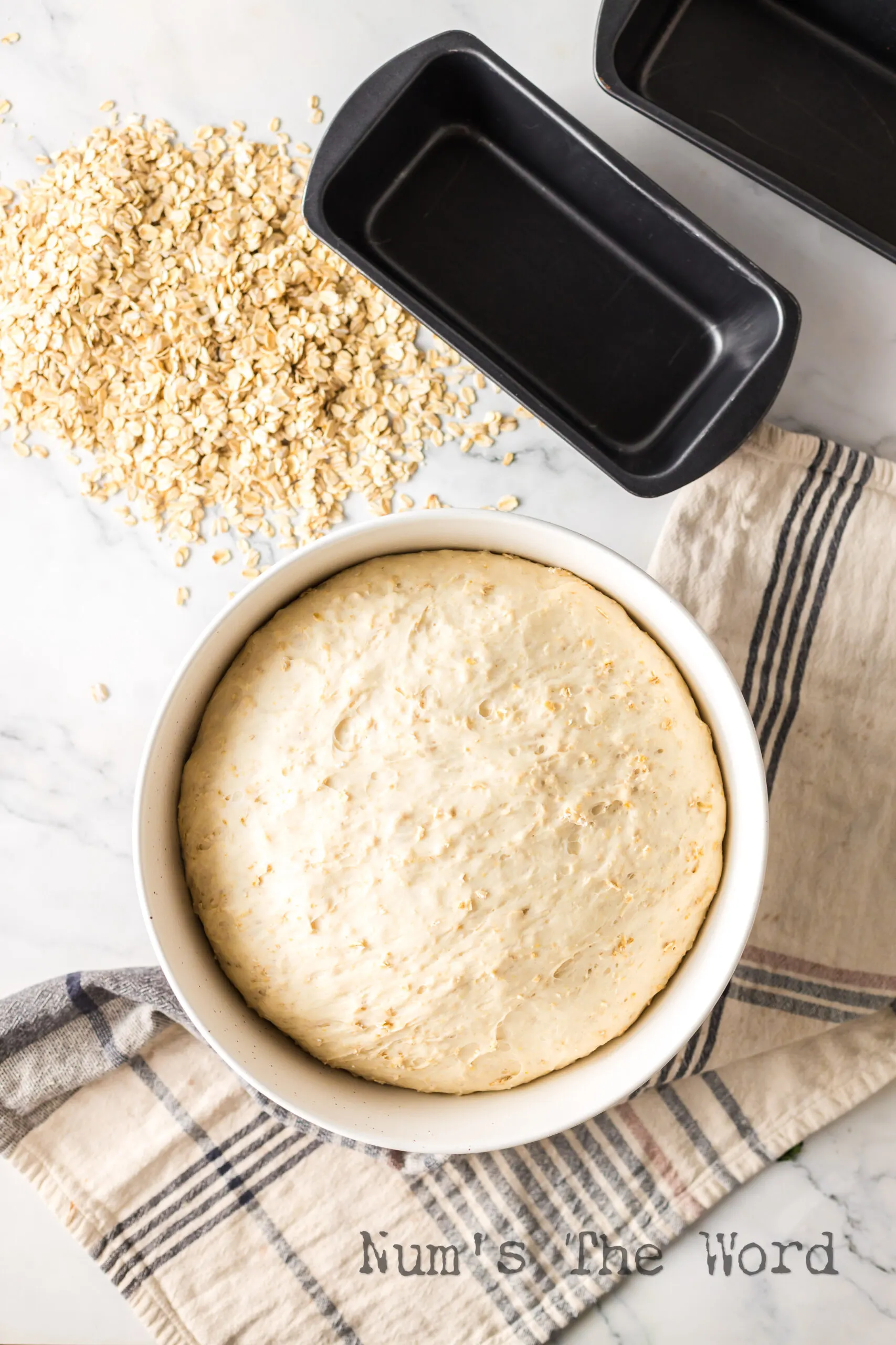 risen bread dough in bowl.