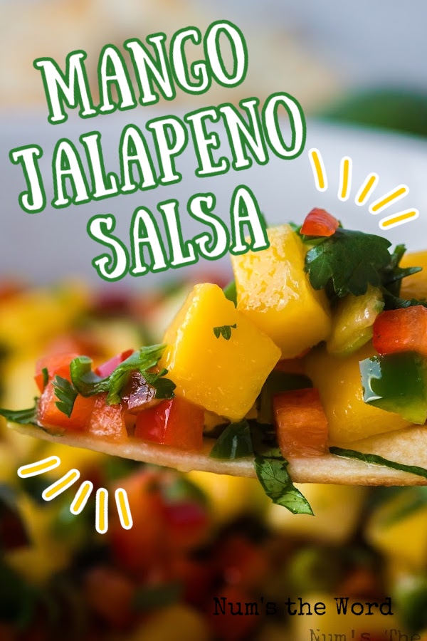 Main Image for Mango Jalapeno Salsa