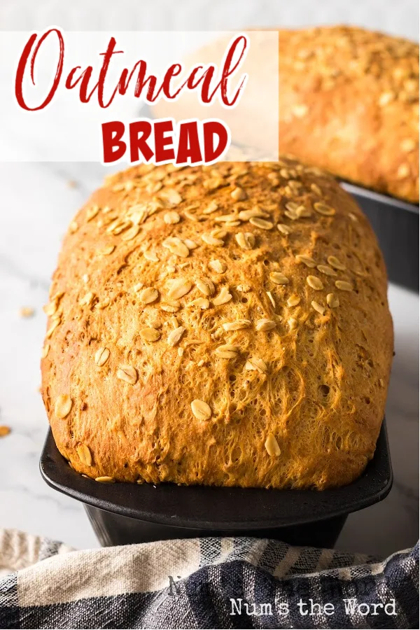 Main image for Oatmeal Bread. Bread is in the pan, baked.