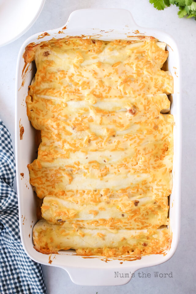 Chicken and Black Bean Enchiladas Num's the Word