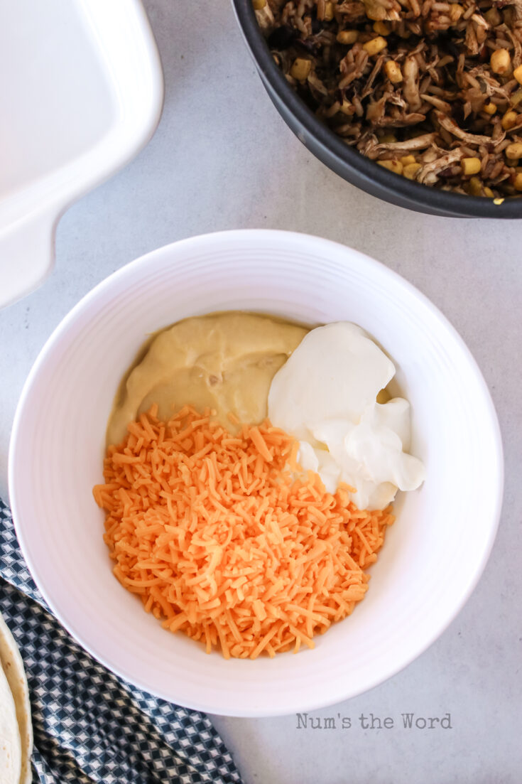 Chicken and Black Bean Enchiladas Num's the Word