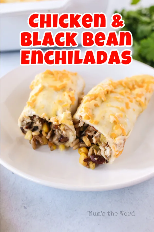 main image for recipe of chicken and black bean enchiladas