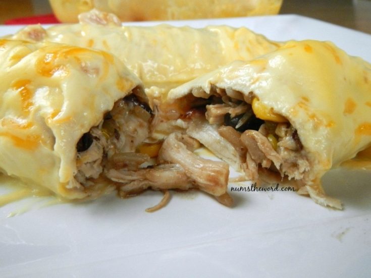 Black Beans & Rice Chicken Enchiladas Num's the Word
