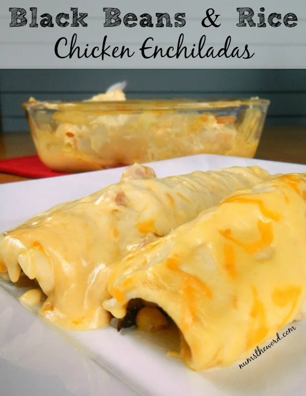 Black Beans Rice Chicken Enchiladas Num S The Word