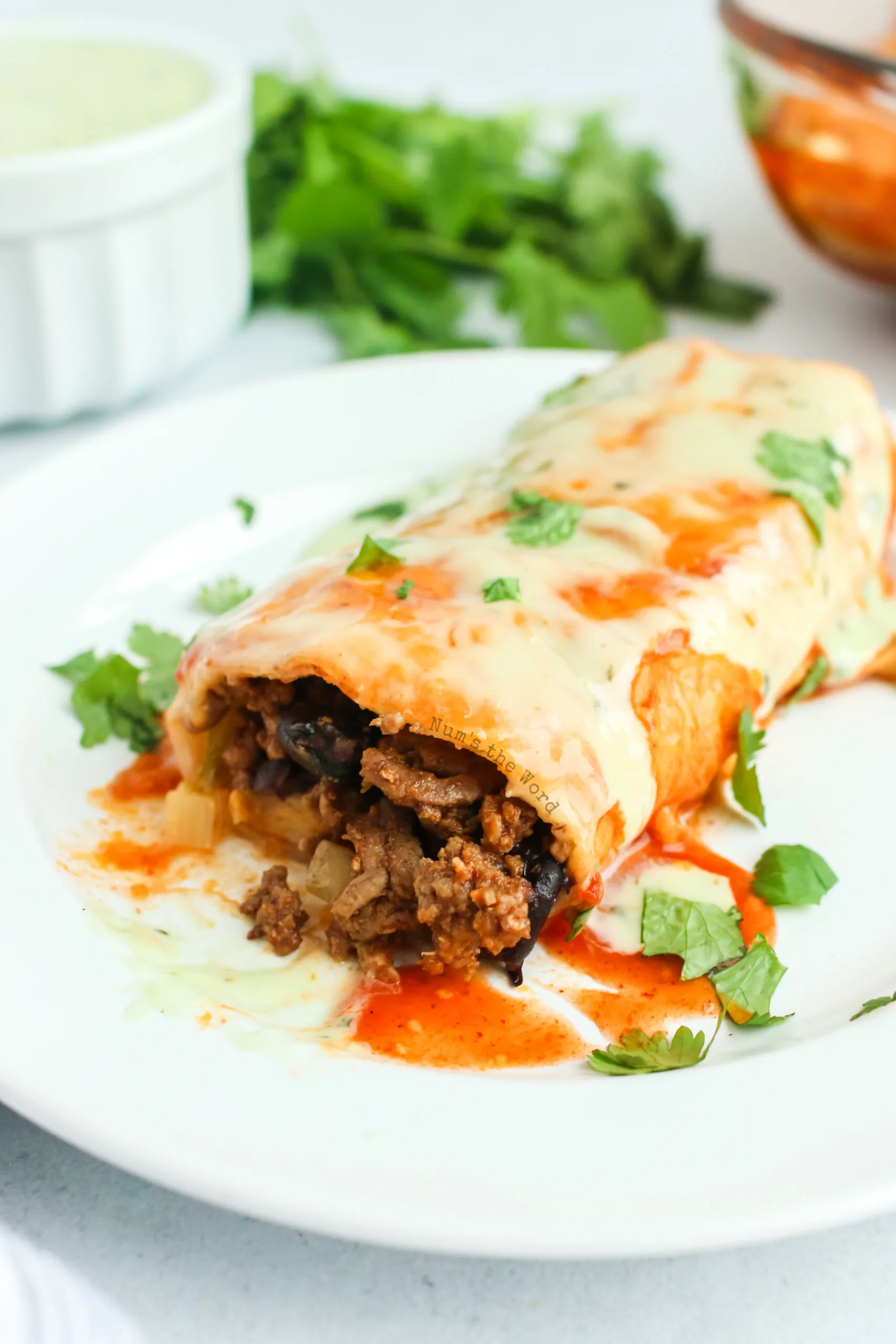 side view of burrito on a plate with meat showing