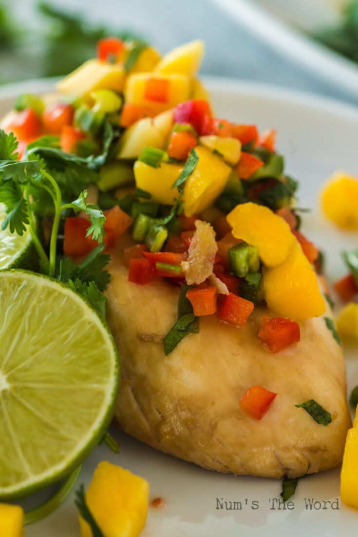 zoomed in image of a single chicken breast with salsa on plate