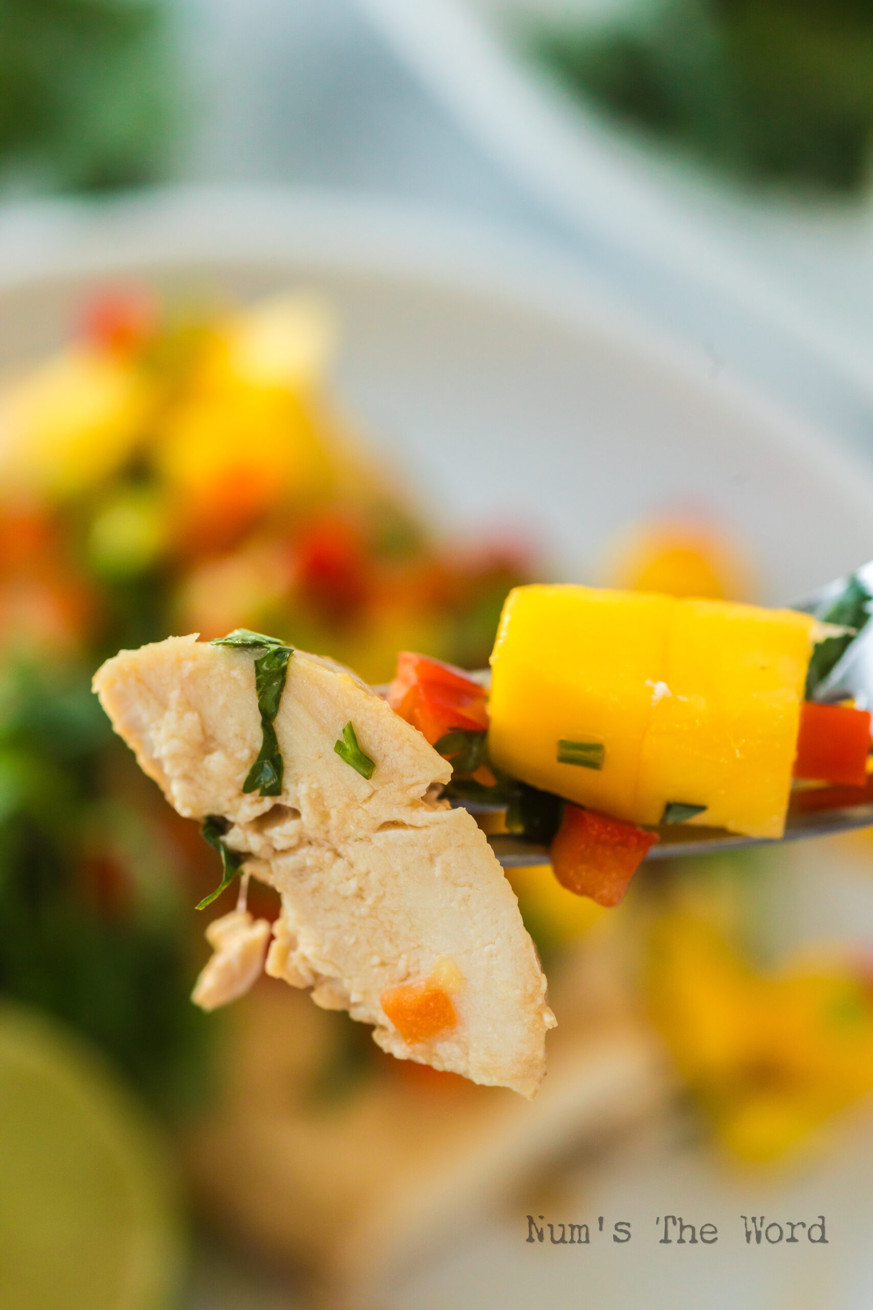 Fork holding a slice of tender chicken with mango salsa