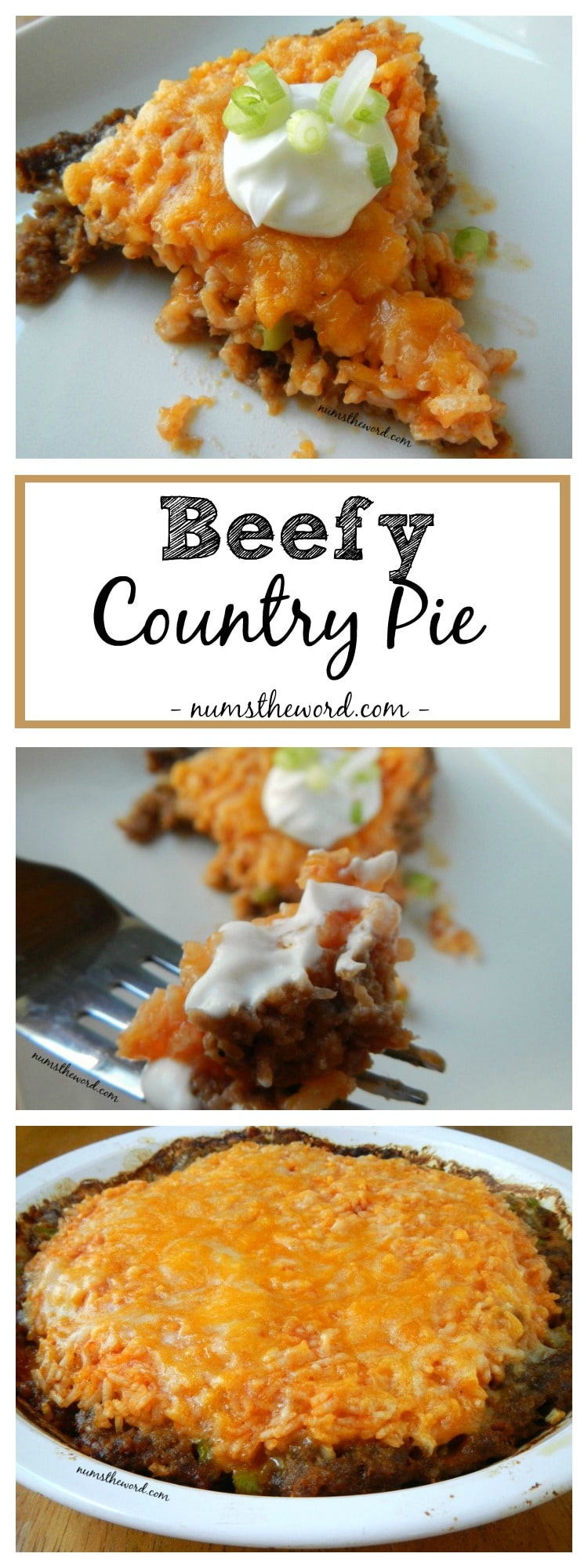 Beefy Country Pie - NumsTheWord