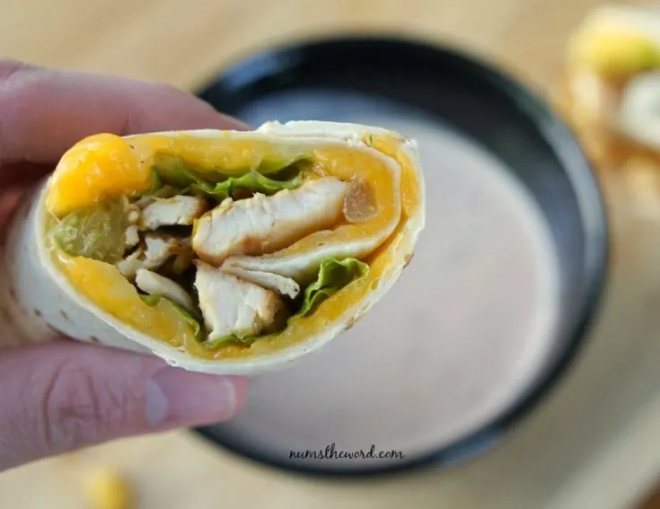 Mexican Chicken Wrap - wrap in hand with dip in the background