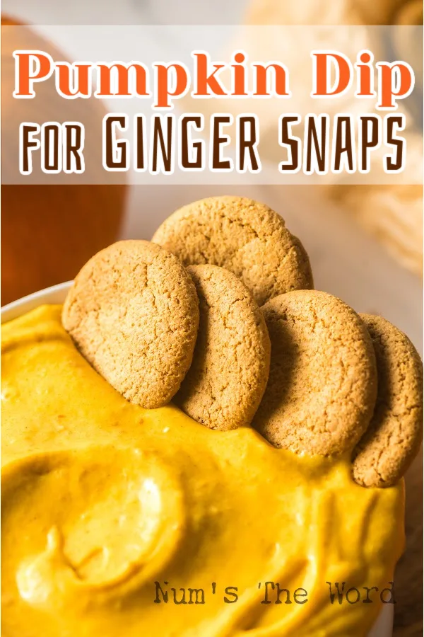 Main image for Pumpkin Dip for Ginger Snaps
