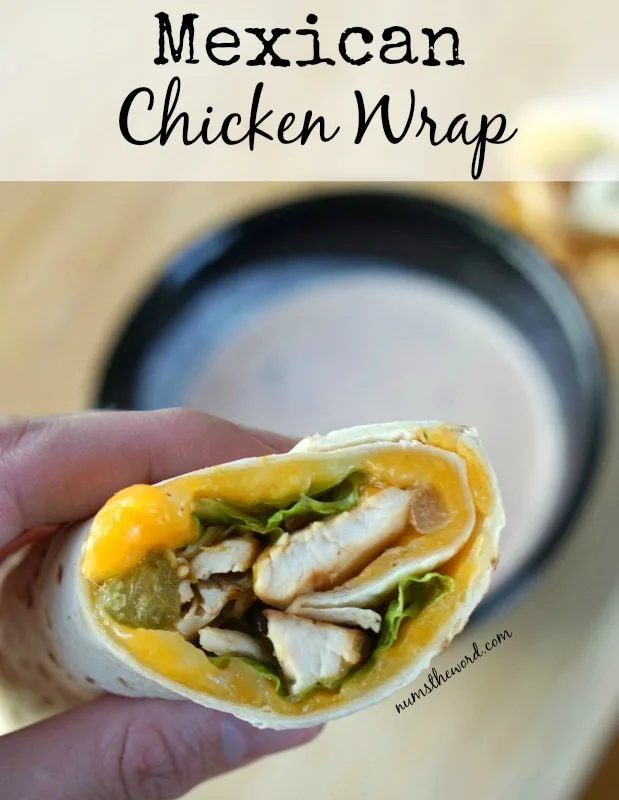 Mexican Chicken Wrap - Main image for recipe. Wrap in hand with dip in background