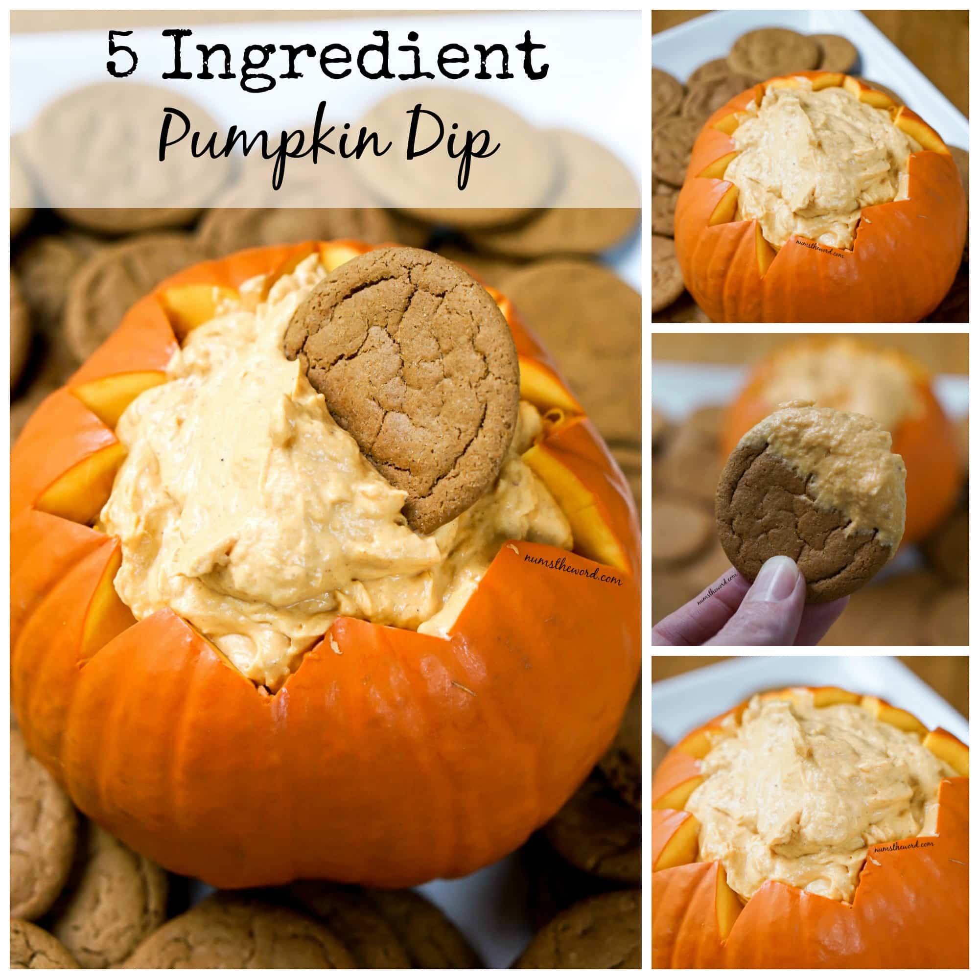 5 Ingredient Pumpkin Dip NumsTheWord