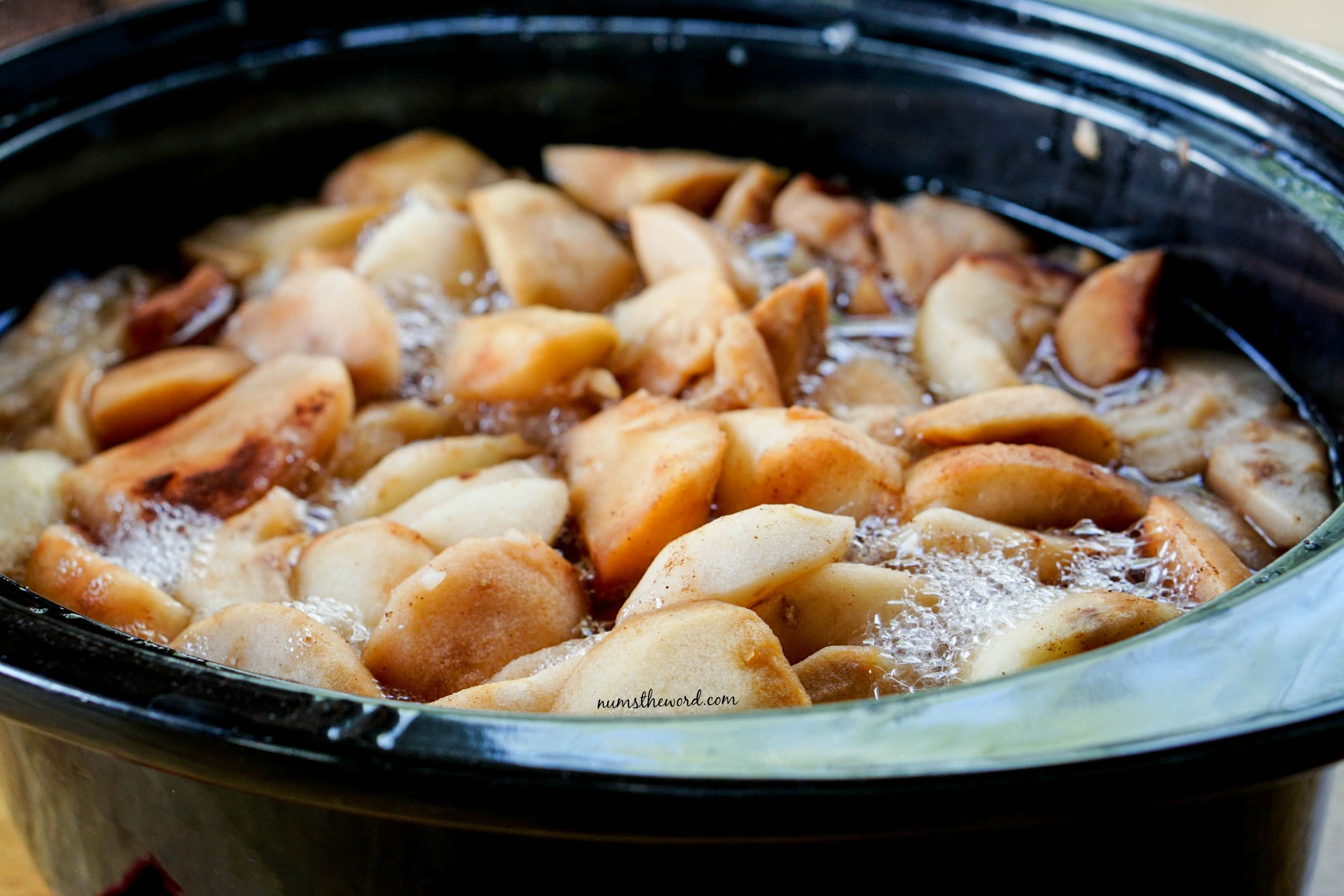 Crock Pot Apple Sauce - Apples cooked in crock pot but not mashed. Photo from side angle.