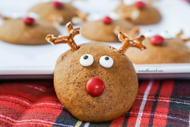 Soft Gingerbread Reindeer Cookies - Close up of a reindeer cookie