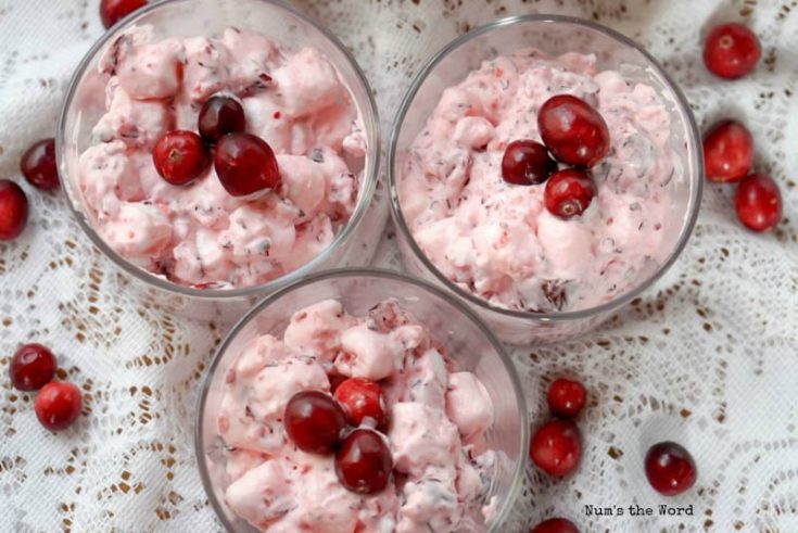 Cranberry Fluff - Cranberry fluff in individual dishes