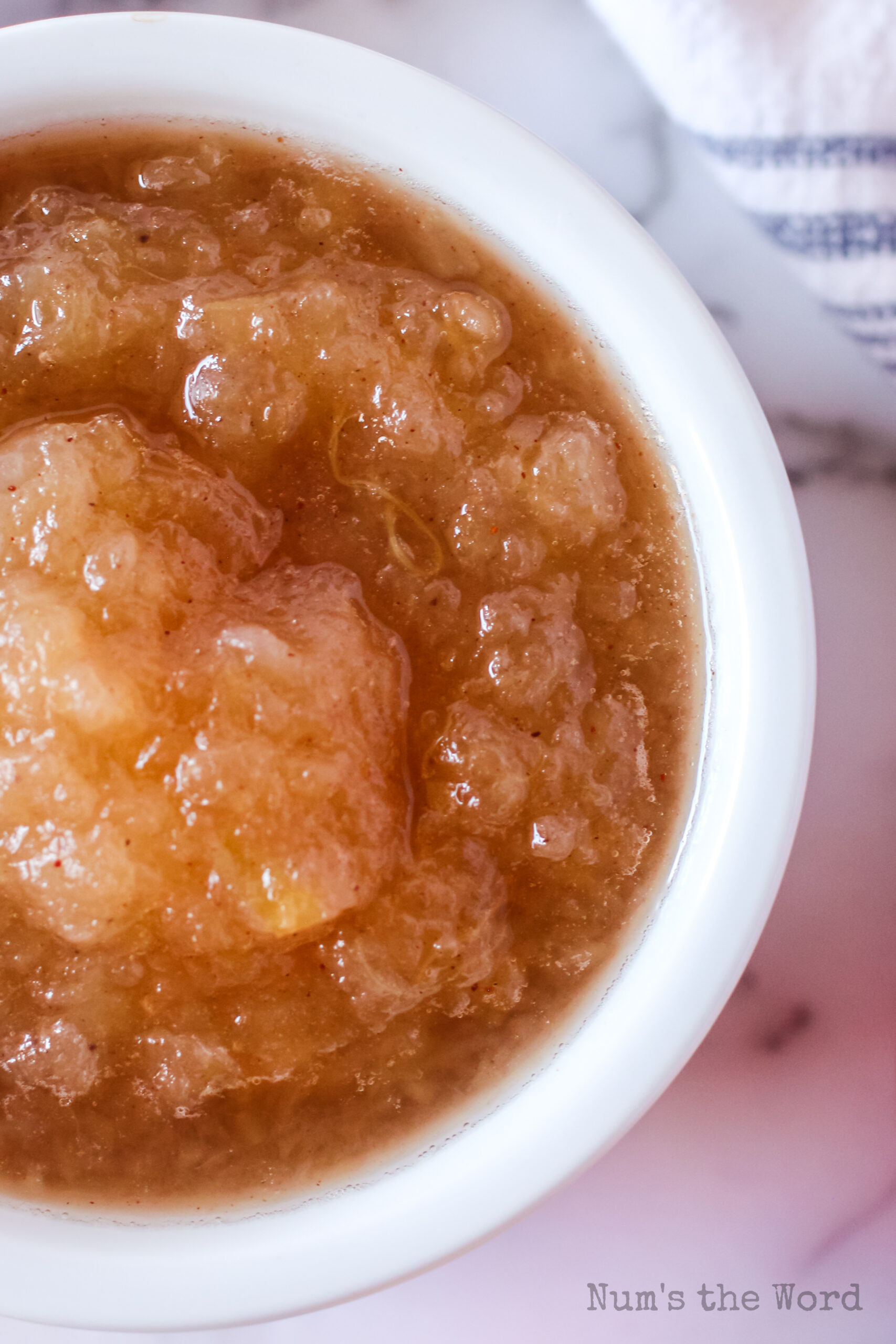 zoomed in image of applesauce in bowl ready to eat