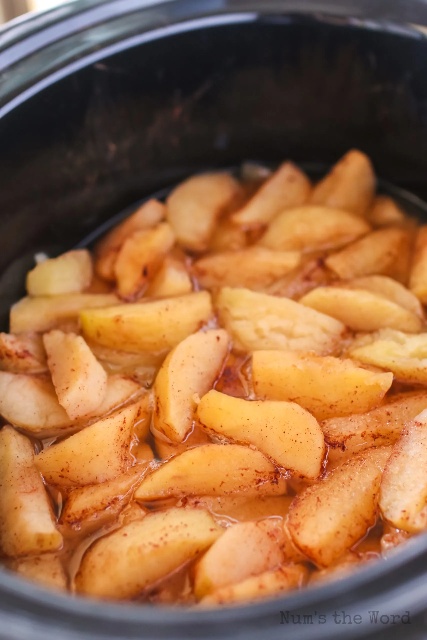 side view of applesauce in crockpot, unmashed