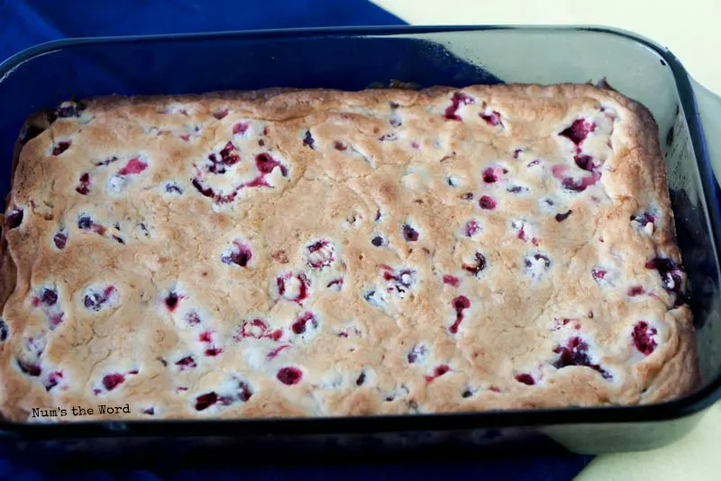 Baked Cranberry Bars, unfrosted