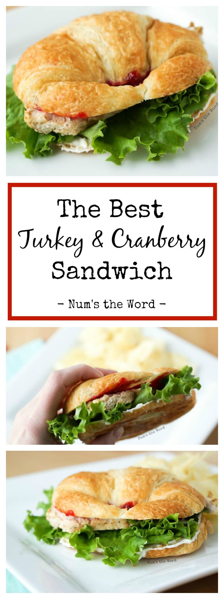 The Best Turkey & Cranberry Sandwich - NumsTheWord