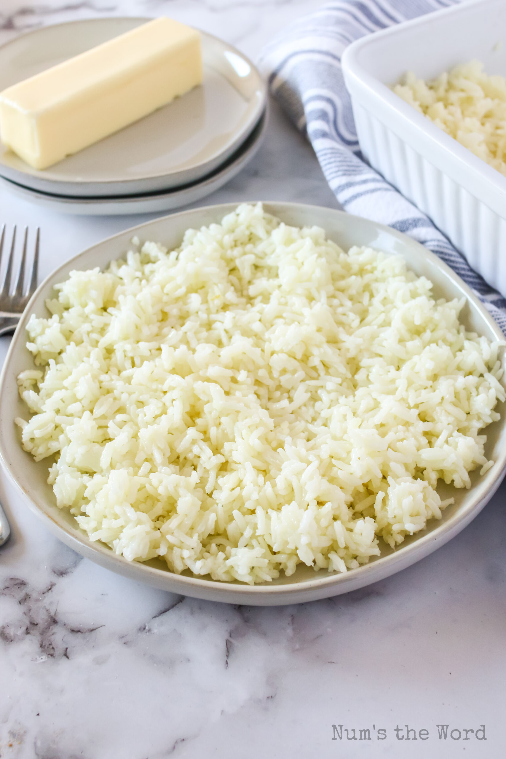 zoomed out image of rice on plate ready to serve