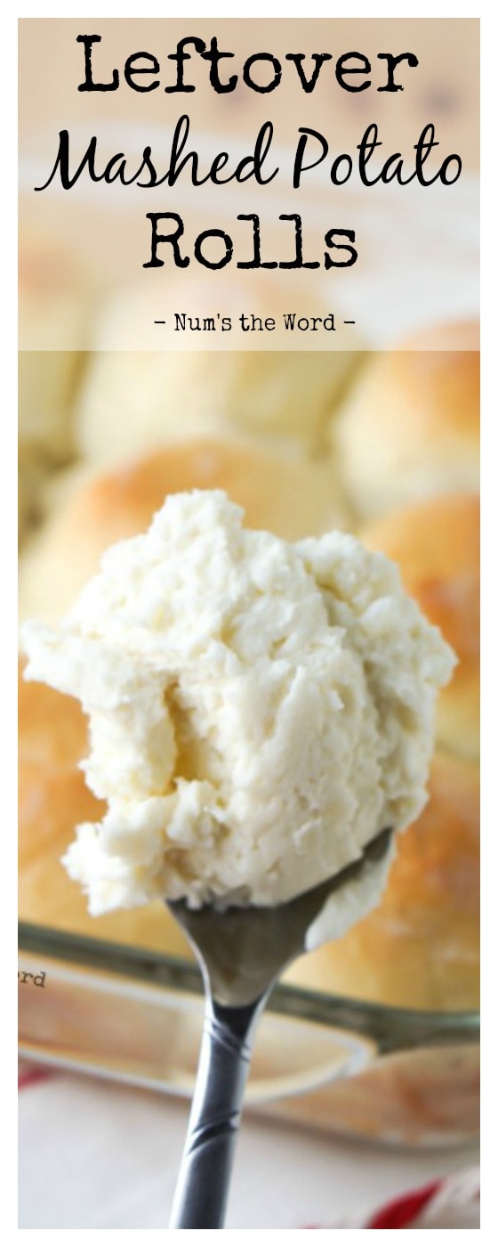 Leftover Mashed Potato Rolls Leftover Mashed Potato Rolls