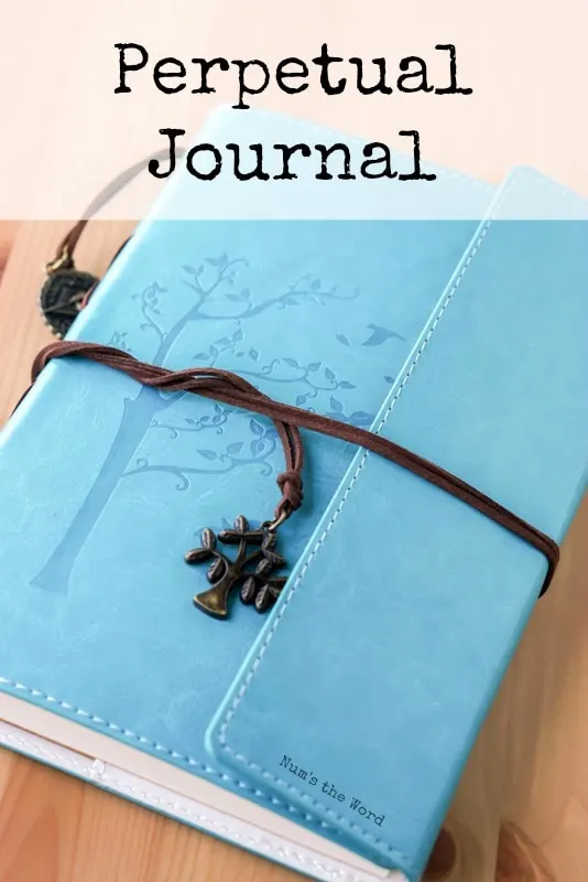 Perpetual Journal