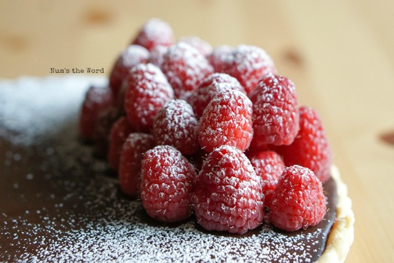 Raspberry Chocolate Tart- close up of raspberries sprinkled in powdered sugar
