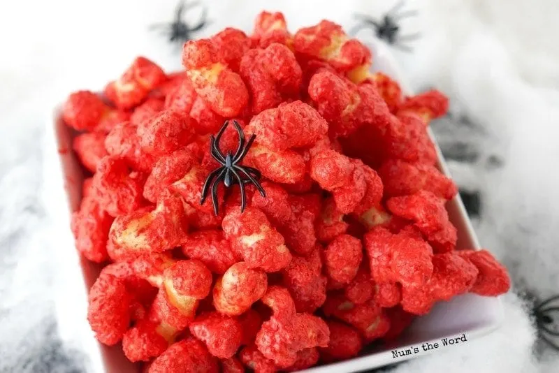 Creepy Chocolate Brains - zoom out of brains with spider on them, different angle