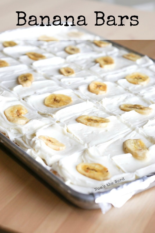 The Best Banana Bars