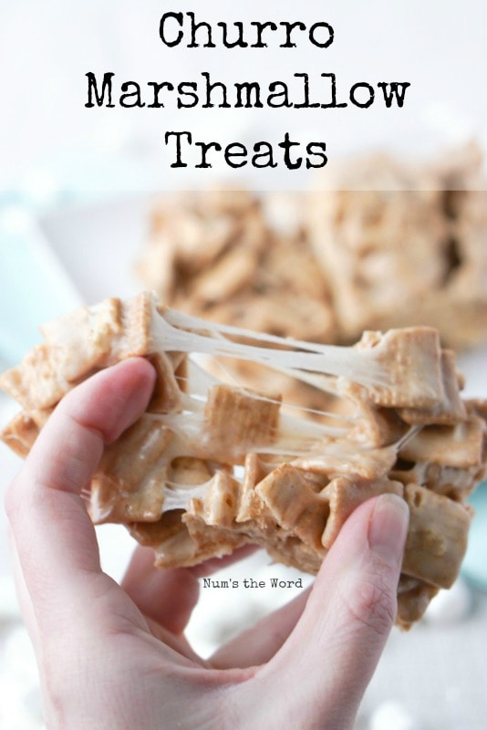 Churro Marshmallow Treats - main image for recipe