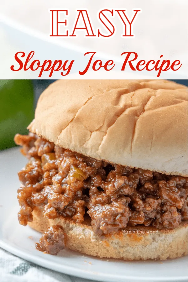 BEST Sloppy Joes Recipe (Homemade Sloppy Joes w/ a Twist!)