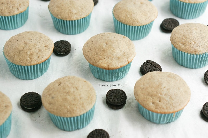 Cookies & Cream Cupcakes - Baked but unfrosted cupcakes