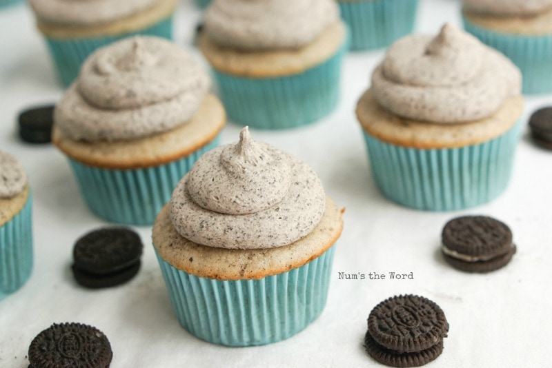 Cookies & Cream Cupcakes - Frosted cupcakes without mini oreo on top close up