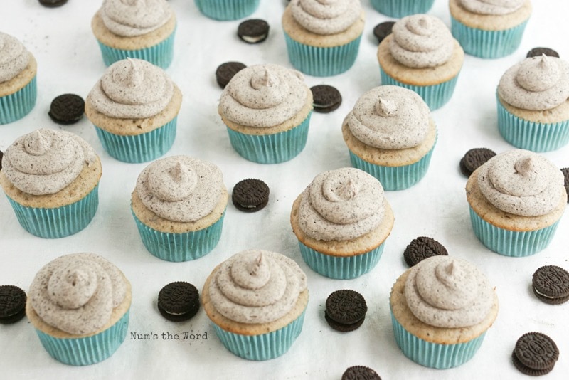 Cookies & Cream Cupcakes - zoomed out image of frosted cupcakes without mini oreos on top