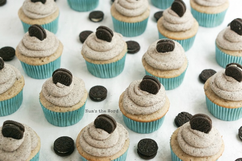 Cookies & Cream Cupcakes - zoomed out image of frosted cupcakes with mini oreos on top