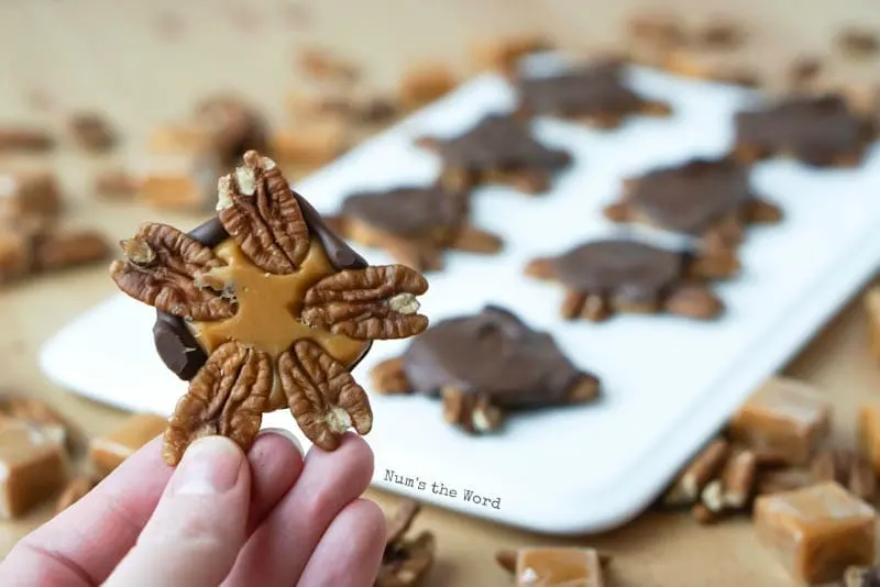 Pecan Turtles - turtle lifted up to show underside layers of pecans, caramel and chocolate