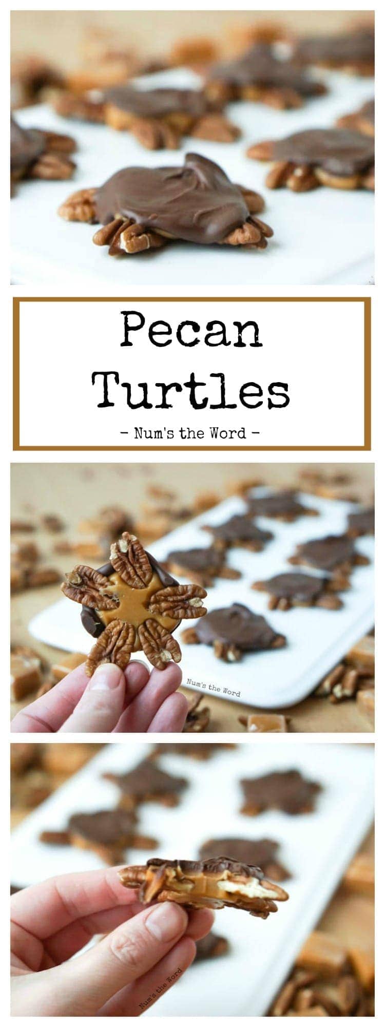 Pecan Turtles Num's the Word