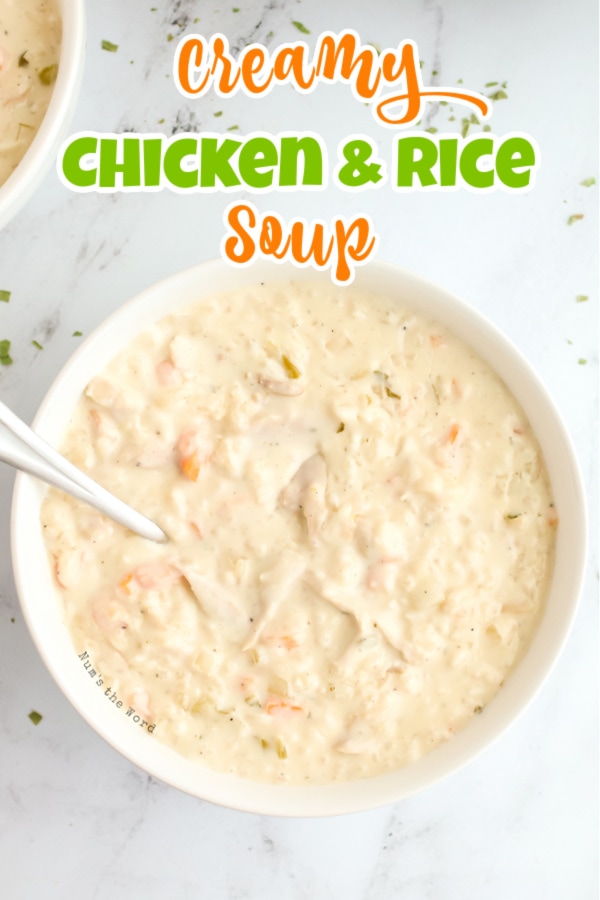 Chicken and Rice Soup - main image of soup in bowl for recipe.