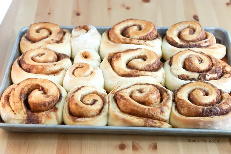 Leftover Mashed Potato Cinnamon Rolls - Cinnamon rolls on a baking sheet.