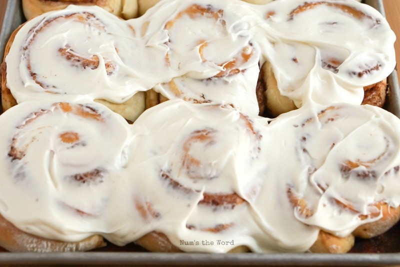 Leftover Mashed Potato Cinnamon Rolls - cinnamon rolls on baking sheet smothered in cream cheese frosting